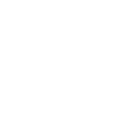 TERAPIA TECAR